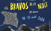 Les Bravos de la nuit